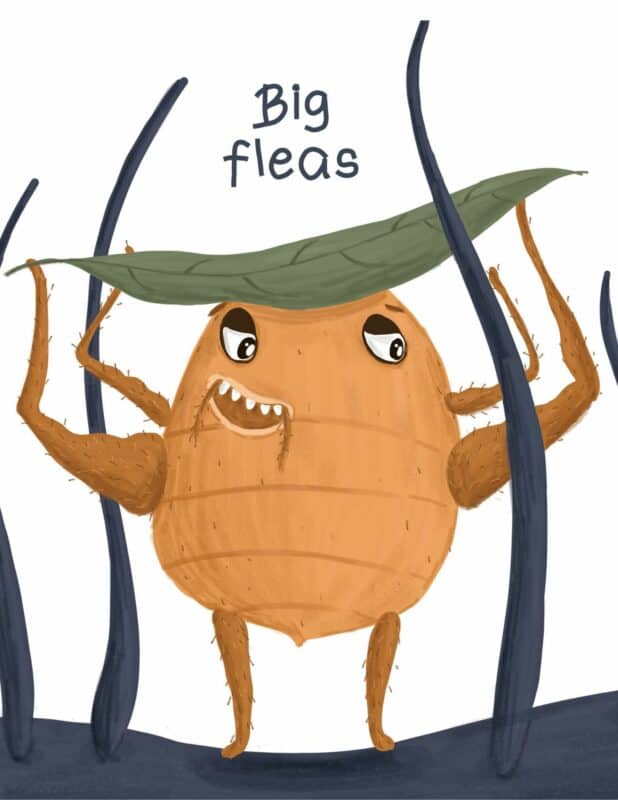 A large light brown cartoon flea standing among hairs holds a green leaf over its head. Text says "Big fleas"