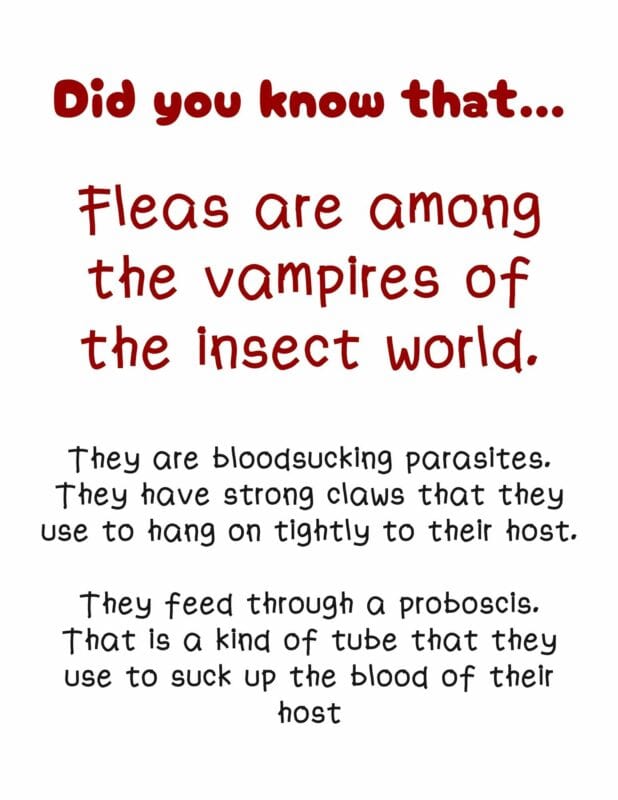 Text page. "Did you know that... Fleas are among the vampires of the insect world. They are bloodsucking parasites. They have strong claws to hang on tightly to their host. They feed through a proboscis. That is a kind of tube that they use to suck up the blood of their host."