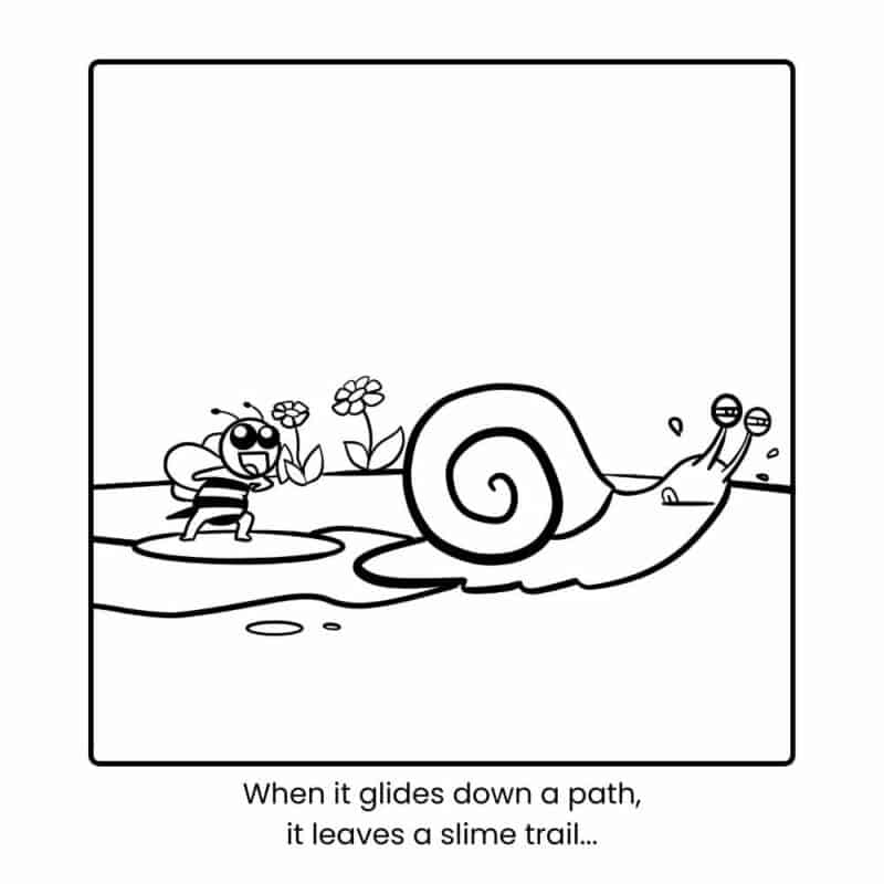 Image shows outline of a snail that looks like it is rushing along while leaving a slimy trail behind it. Text underneath says "When it glides down a path, it leaves a slime trail"