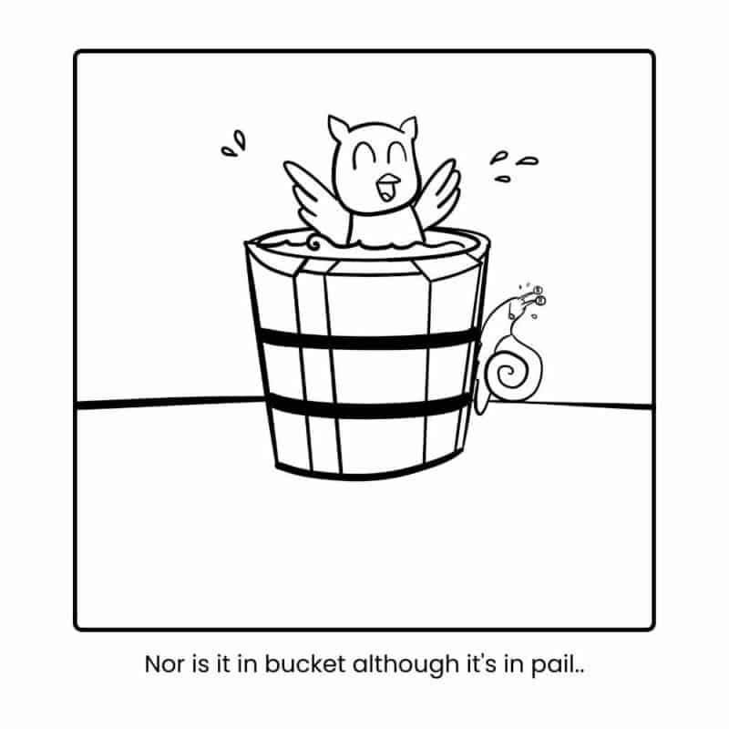 Image show outline of Baby Owl bathing in a pail of water while a small snail is making it's way up the side.Text underneath says "Nor is it in bucket, although it's in pail."