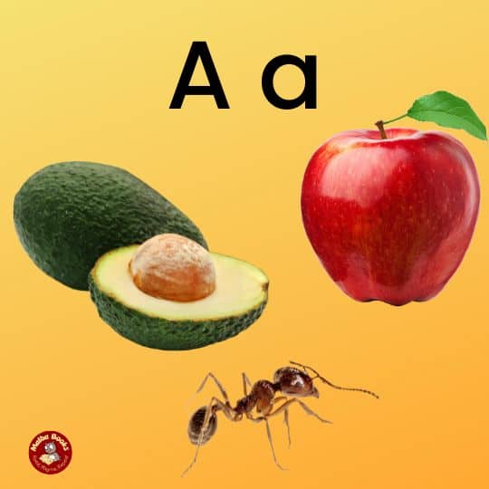 A is for apple, avocado and ant
